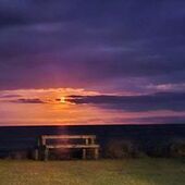 User avatar for Dana Patterson