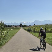 User avatar for Sophia Beglinger