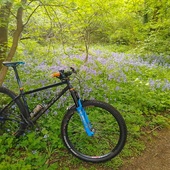 User avatar for David Glover