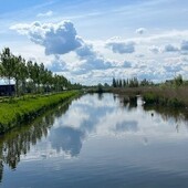 User avatar for Ellen Kloesmeijer