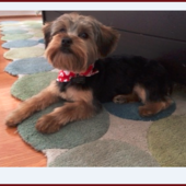 User avatar for Dimple Patel