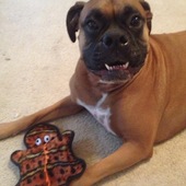 User avatar for Mary Lou Jackson