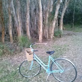 User avatar for Carmen Bennett