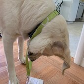 User avatar for Ryan Janke