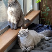 User avatar for Kyle Cummings