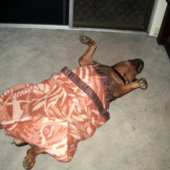 User avatar for Linda Grima