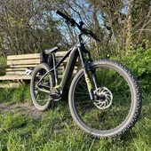 User avatar for Daryl Green