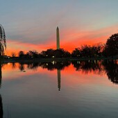 User avatar for James Graham