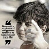 User avatar for Ammara Khan