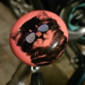 User avatar for Paula Schlotterbeck