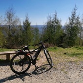 User avatar for Paul Shepherd