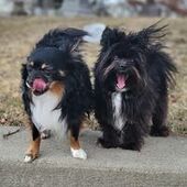 User avatar for Amber Hughey