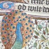 User avatar for Tamara Hempenius