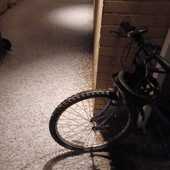 User avatar for Jenny Powell