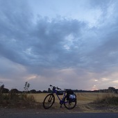 User avatar for Adam Browning