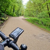 User avatar for Adele Ingham