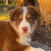 User avatar for Adam Baker