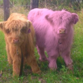 User avatar for Filip Thibodeau