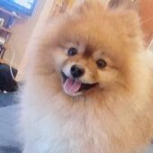 User avatar for Karen Barclay