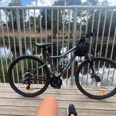 User avatar for Dee Peterson