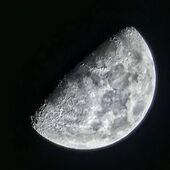 User avatar for andrew snell