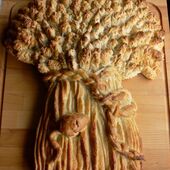 User avatar for Anneka Moore