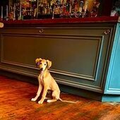 User avatar for Brad Flook