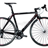 User avatar for Nasser Zreika