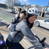 User avatar for Ting Lam