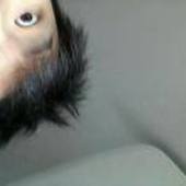 User avatar for Nick Zhu