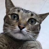 User avatar for Aye Mee