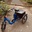 profile image for author John Norfolk 👨‍🦳 for Riding a trike?