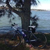 User avatar for Vivian Hamilton