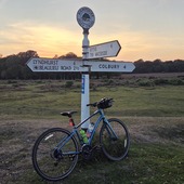 User avatar for Jenny Shepherd