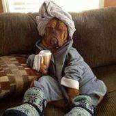 User avatar for Islam Elhalawani