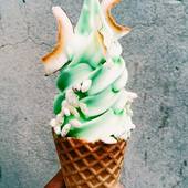 User avatar for Penny Cai