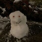 User avatar for Esra Ozyurek