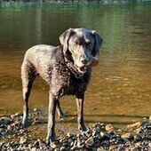 User avatar for ADAM MATHER