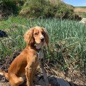 User avatar for Liz Sneddon