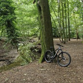 User avatar for Gemma Magee