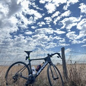 User avatar for Renee  Henderson