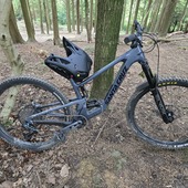 User avatar for Michael Willoughby