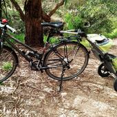 User avatar for Irene Moser