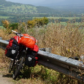 User avatar for Peter Cockrem