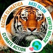 User avatar for Abbey Zee