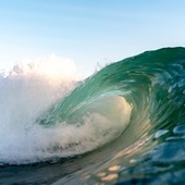 User avatar for Henry Evans