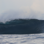 User avatar for Henry Evans