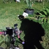 User avatar for André Cross