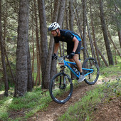 User avatar for Mark Thomson