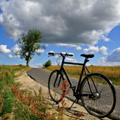 User avatar for Matt Skinner